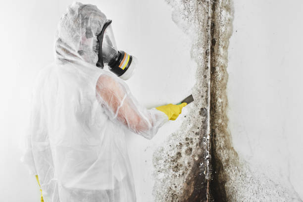Crawl Space Mold Removal in Tucker, GA